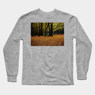 ‘Dark Wood’ - Autumn arrives, leaves fall Long Sleeve T-Shirt